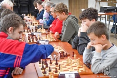 dzien-bez-samochodu-10