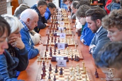 dzien-bez-samochodu-13