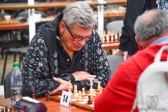 dzien-bez-samochodu-15