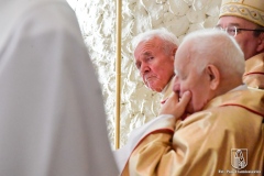 dzien-bez-samochodu-50