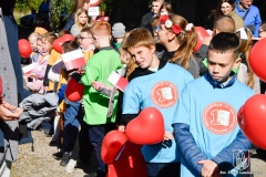 1_dzien-bez-samochodu-3