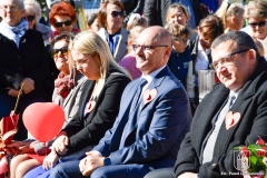 dzien-bez-samochodu-76