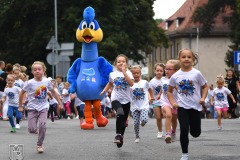 DSC_1510_ch10_09_2021