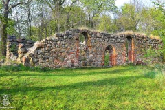 DSC_7963_radaczewo_tkrawiec_2