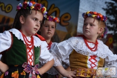 DSC_6959_dozynki_gminne_2019