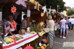 DSC_7152_dozynki_gminne_2019