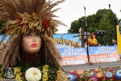 DSC_2247-kopia