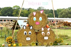 DSC_4615_dozynki_kolki_2021