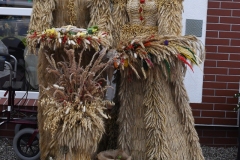 DSC_6297-kopia
