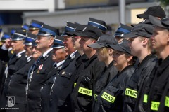 347258231_763960145731555_6544211946337310342_n