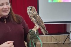 627132188_1531173269010225_1802682697485605649_n