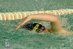 DSC_4926_foka_03_2021