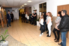 DSC_4844_fotografia_konkurs_cool_2019