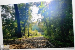 DSC_4903_fotografia_konkurs_cool_2019