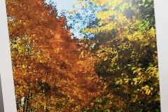 DSC_4904_fotografia_konkurs_cool_2019