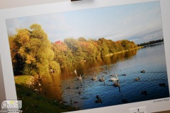 DSC_4907_fotografia_konkurs_cool_2019