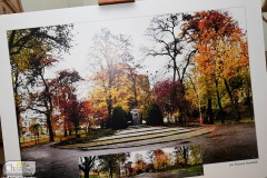 DSC_4911_fotografia_konkurs_cool_2019