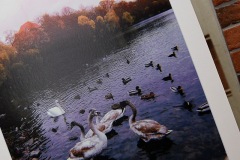 DSC_4912_fotografia_konkurs_cool_2019