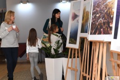 DSC_4915_fotografia_konkurs_cool_2019