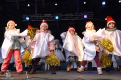 DSC_0496_jarmark_3dzien_2022