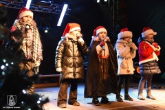 DSC_8600_jarmark_1dzien_2022