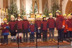 DSC_6310_koncert_koled_2020