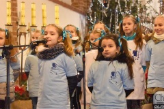 DSC_6367_koncert_koled_2020