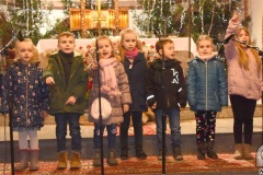 DSC_6430_koncert_koled_2020