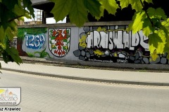 DSC_8239_mural_2019