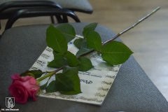 441178101_1012181084242792_2483720365881577563_n