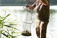 DSC_0810_pzw_kominex_2020