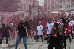 DSC_1527_obr_02_2018