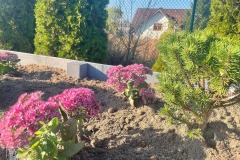 IMG_0821_ogrod_sp3_2