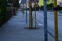 DSC_6761