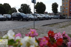 DSC_5640_parking2019