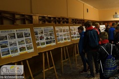 DSC_8306_piknik_europejski_2019