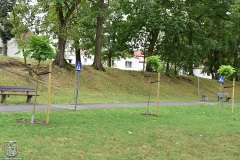 DSC_2598_piknik_osiedle_nr1_09_2024