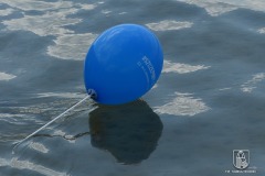 DSC_1869_powitanie_lata_06_2021