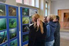 IMG-20221008-WA0001