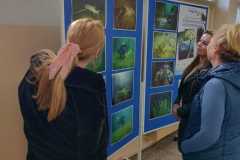IMG-20221008-WA0002