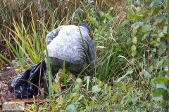 pzw_IMG_20191102_104500111