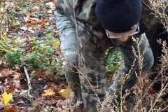 pzw_IMG_20191102_110830796_BURST000_COVER_TOP