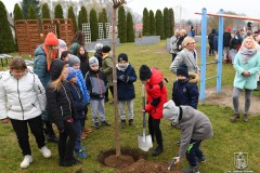 DSC_1851_sadzenie_drzew_2021