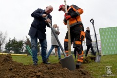 DSC_5374_sadzenie_drzew_2021