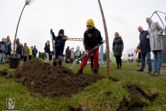 DSC_5388_sadzenie_drzew_2021