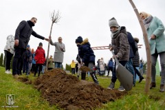DSC_5408_sadzenie_drzew_2021