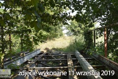 DSC_8897_sciezka_01_2020