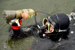 DSC_4044_anquilla_10_2022