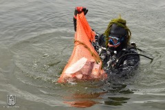 DSC_4106_anquilla_10_2022