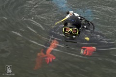 DSC_4133_anquilla_10_2022